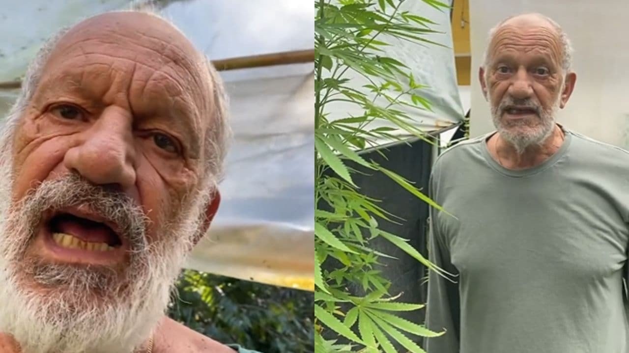 Ator da RecordTV exibe sua plantação de maconha e desabafa: "Uma loucura"