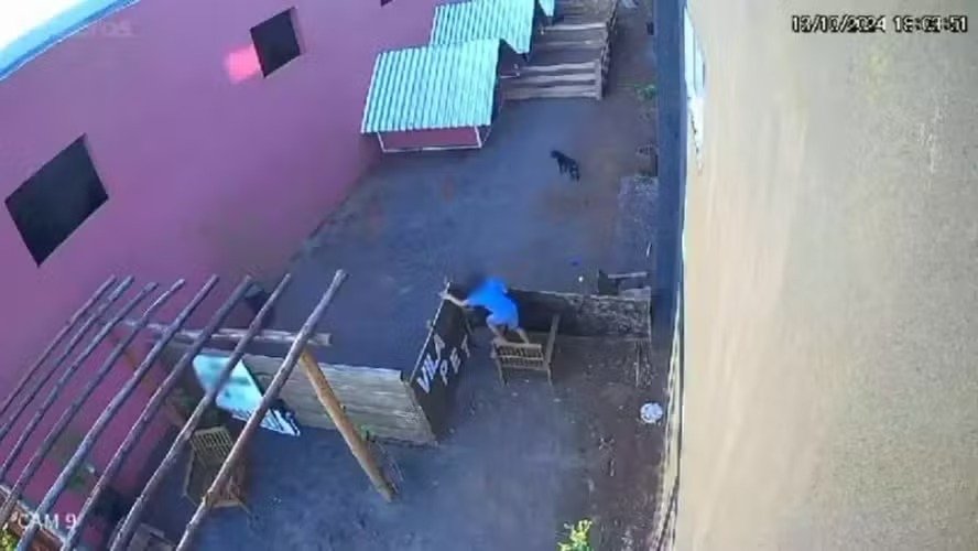 criança de 9