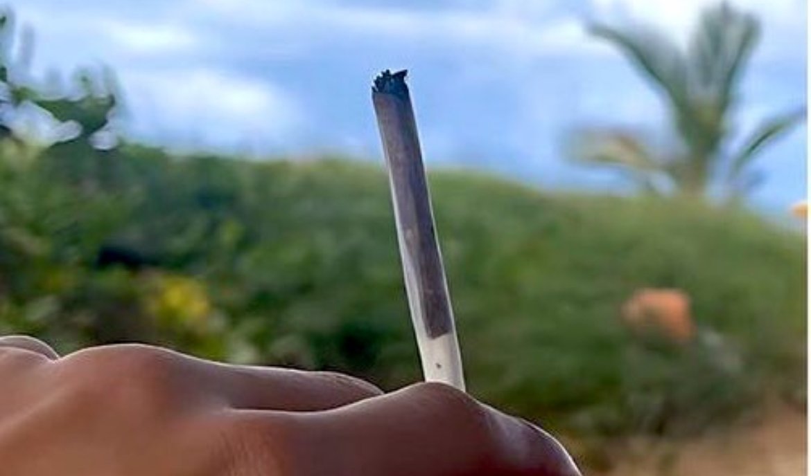 Homem registra b.o. após não receber maconha e diz que traficante agiu de má fé