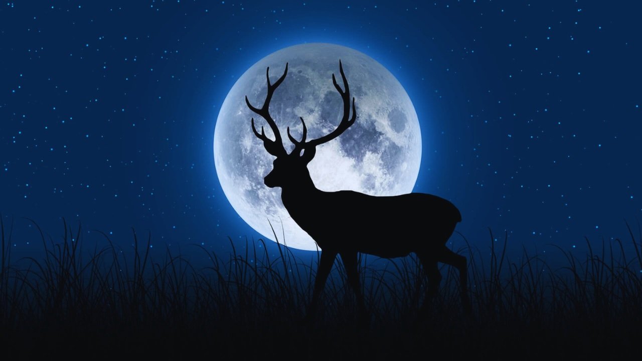Lua do Veado ilumina o céu em julho: saiba o que é e como observar