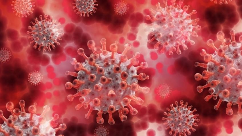 Nova variante da covid-19, XFG, se espalha pelo Brasil e já domina casos em algumas regiões