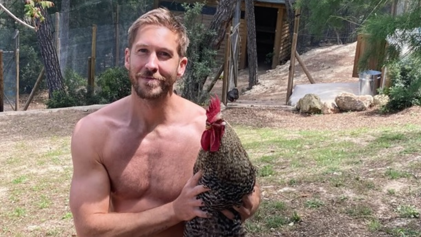 Calvin Harris lamenta morte do galo e acusa vizinhos: 'Cães imundos'