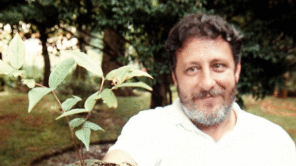 cesar ferraz