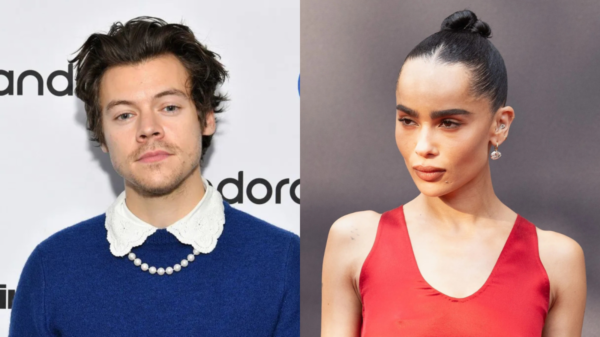 Harry Styles e Zoë Kravitz