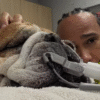 Cachorro de Lewis Hamilton morre 'nos braços' do piloto