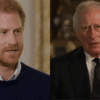 Após 18 Meses, Príncipe Harry se reencontra com o Rei Charles III em Londres