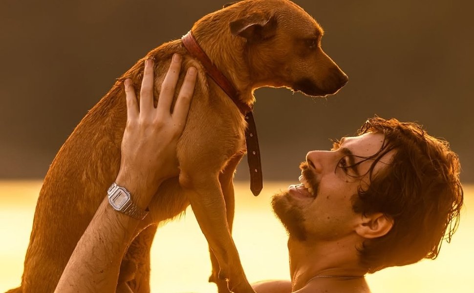 'Caramelo': Netflix lança campanha de adoção inspirada no filme