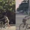 Bruna Marquezine e Shawn Mendes curtem passeio de bicicleta com Sasha Meneghel e João Lucas