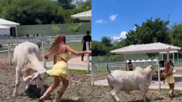 Nicole Bahls leva susto após ser atacada por vaca em fazenda no Rio de Janeiro