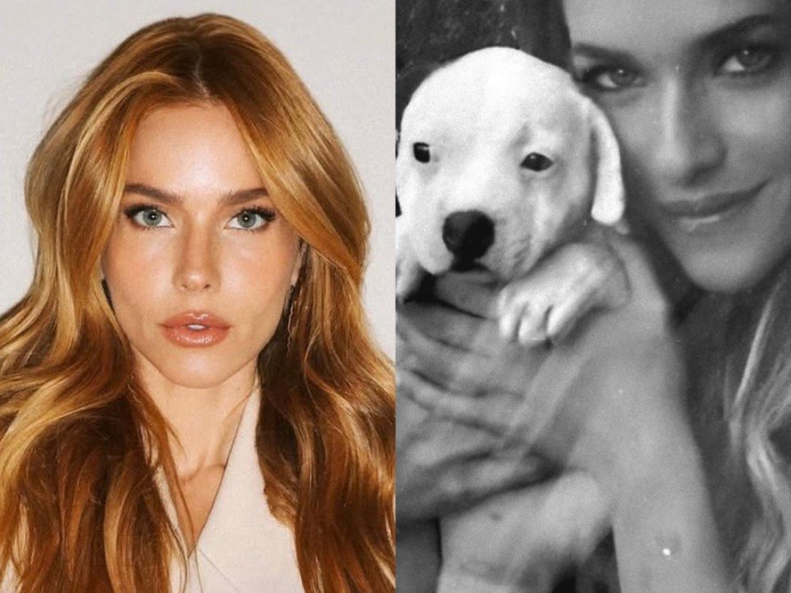 Monique Alfradique lamenta morte de sua cachorrinha Pepinha: “Anos de amor e lealdade”