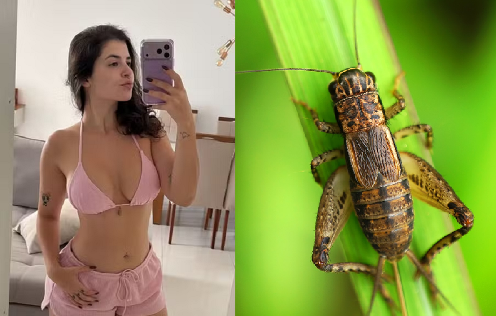 miss bumbum shake grilos