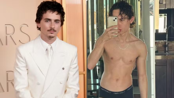 Timothée Chalamet estaria incomodado com sósia que faz sucesso no OnlyFans, diz jornal 4 image
